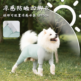 �����ļ��������д���Ȯ����ȫ���ɷű���������͸�����ë������