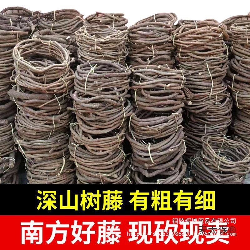 太保葡萄婚麦藤条红山藤蔓叶树藤干假老藤枯藤管道树枝植物深山藤