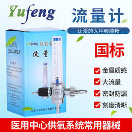 医院门诊雾化带流量计供氧系统氧气吸入器集中供氧设备带雾化