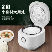 羳ȫԄӶ๦һ|ʽrice cookerWӢҎ