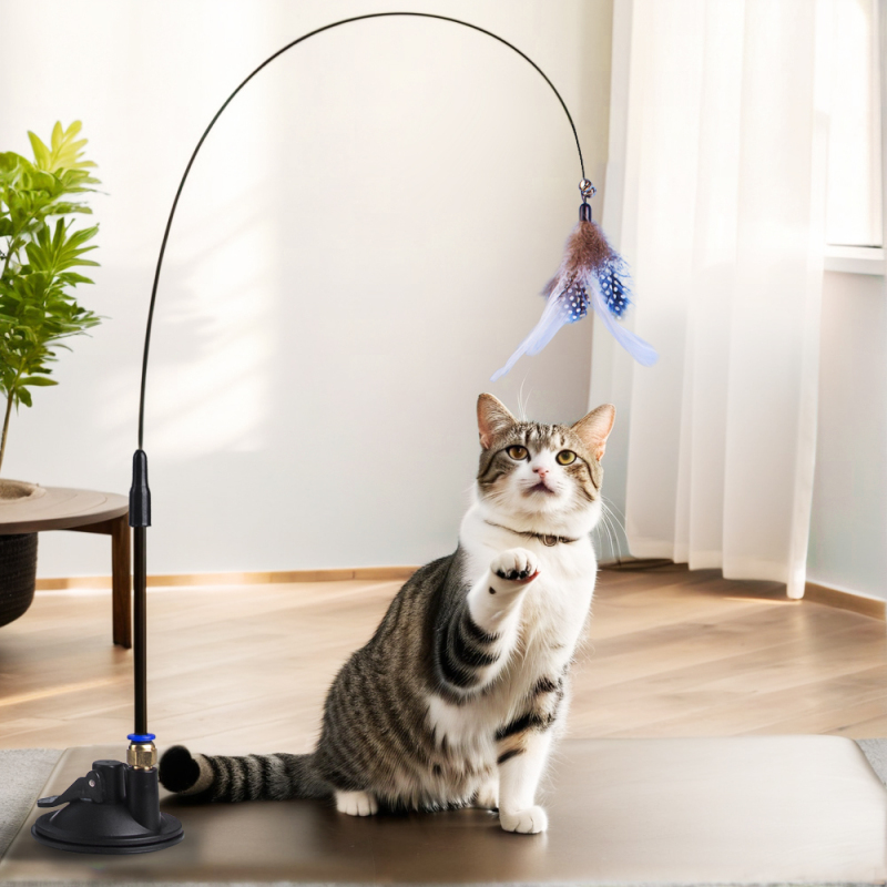 CFA試合級の猫をからかう棒の木の柄は猫のおもちゃの羽の子猫をかむことに耐えます。|undefined