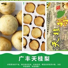 �V�S����������������rˮ��ѩ��֭�ౡƤˮ���摪�����ӽ����خa
