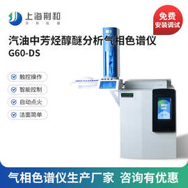 荆和 G60汽油中芳烃醇醚分析气相色谱仪 国产气相色谱仪生产厂家