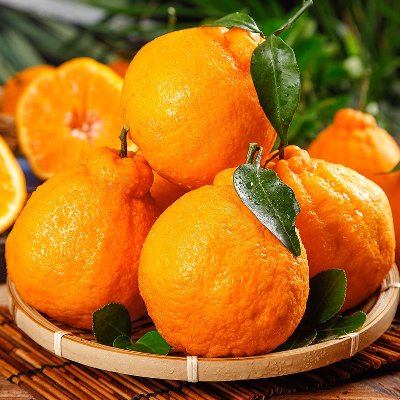 四川丑橘丑八怪橘子新鲜蜜橘桔子耙耙柑当季水果新鲜水果一件代发