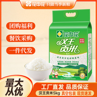 ���л��h��ؕ��5kg�Ĵ��L������10����طNֲ��հ��b�Ϸ��i��