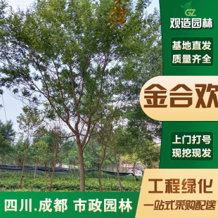 �y�~��Ϛg�����Ĵ��@�־G������ͥԺ�����ͺ��L���е�ܽ�ػ�����