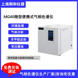 荆和便携式微型气相色谱仪 车载型色谱仪MG40 国产经济型色谱