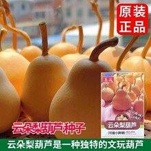 녶�����J�N�����κ��J�N��