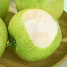 �������rˮ���Xɽ����9��ʹ��殔�����������ѩ��������]