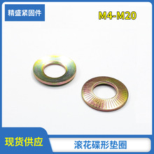 �L�����ΝL���|Ȧ���ɉ|Ȧ�����X�|Ȧ���|��ʽ�|ȦNFE-25�|Ƭ