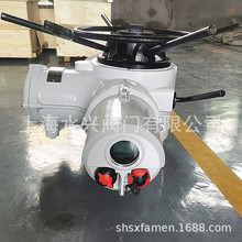 ԭ�bӢ���M��IQ10�_�п�������늄ӈ����� ������ʽ �Ј��P��