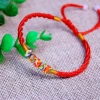 Five color knots-红 绳 line red rope