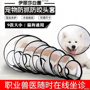 ����ɯ��Ȧ����؈���Ȧ���׷����ץҧȦ�����^�׷��oȦ