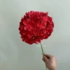 2nd generation single-branch hydrangea 72 tablets-red
