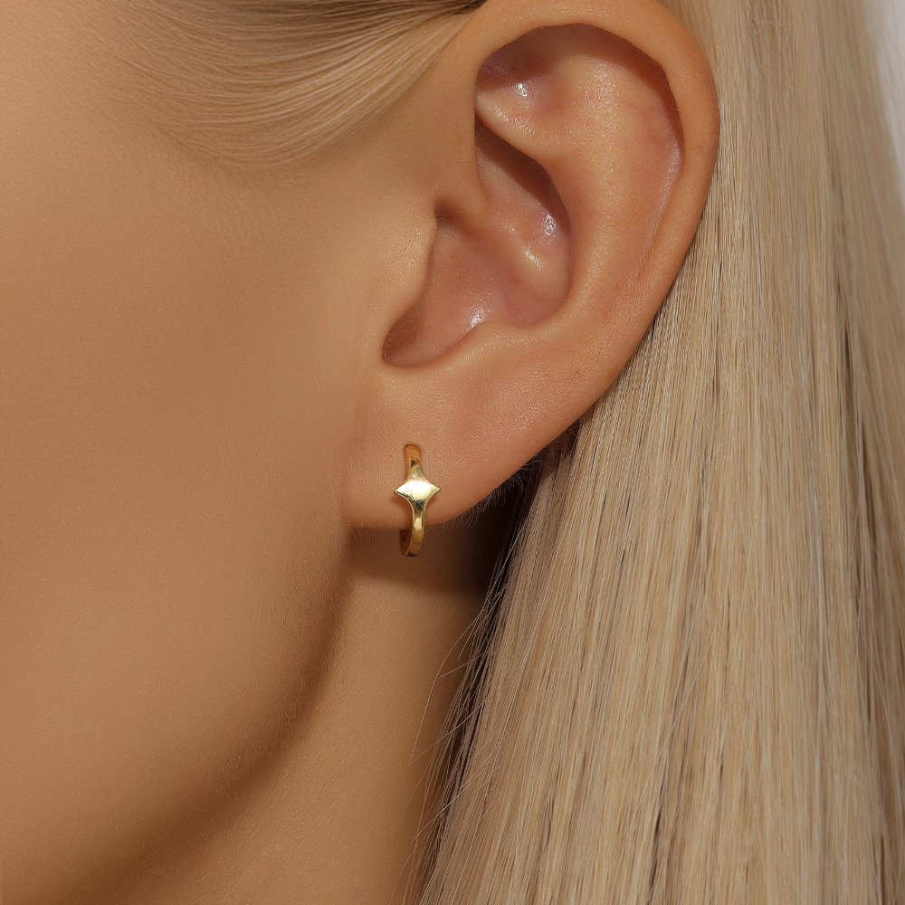 5g Weight 925 Sterling Silver Ear Needle Material Zircon Inlay Material Earrings Classification 1 Pair Quantity Holiday, Travel, Daily Occasion 925 Sterling Silver Material Geometric Pattern Women's Gender Plating Design Simple Style Style 1 Pair 925 Sterling Silver Zircon Geometric Earrings 10