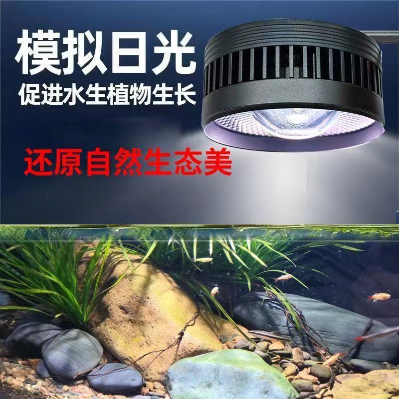 水槽ライト LED ダウンライトネイティブストリームタンク WRGB フルスペクトル水生植物ライト藻類爆発水槽観賞魚ライト|undefined