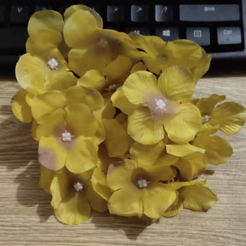 f6db2abb39babadcb79d546c6cfcfd