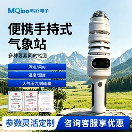 自动气象站;其他仪器仪表;风速风向仪