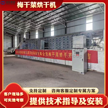 梅干菜烘干机网带式 萝卜缨芥菜梅菜干烘干设备 干菜烘干生产线