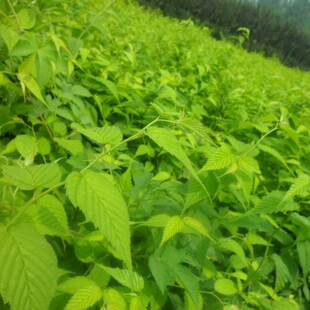 ���K���С��a��  Ҏ���Rȫ ���С�� ë��  ������� ���󃞻�