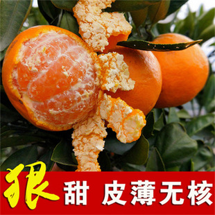 �����Ә���ɳ�Ǹ��ָ̻ʵ۸����Ӹ��٘����ָ̘������ɰ����