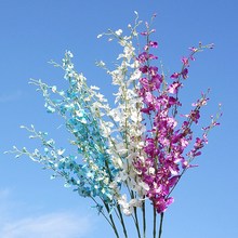 8���֦�����m�����m ���滨�ٻ� �ҾӔ[�Ż�c�zӰܛ�b�b�