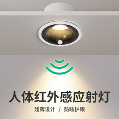 組み込み式誘導灯人体誘導通路の廊下灯が戸口に入って玄関のダウンライトが狭い防くらみランプである