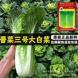 �x����̖��ײ˷N���LͲ�ײ����ԭ�b�ļ��߲˷N�Ӵ�ȫ�˷N�����l