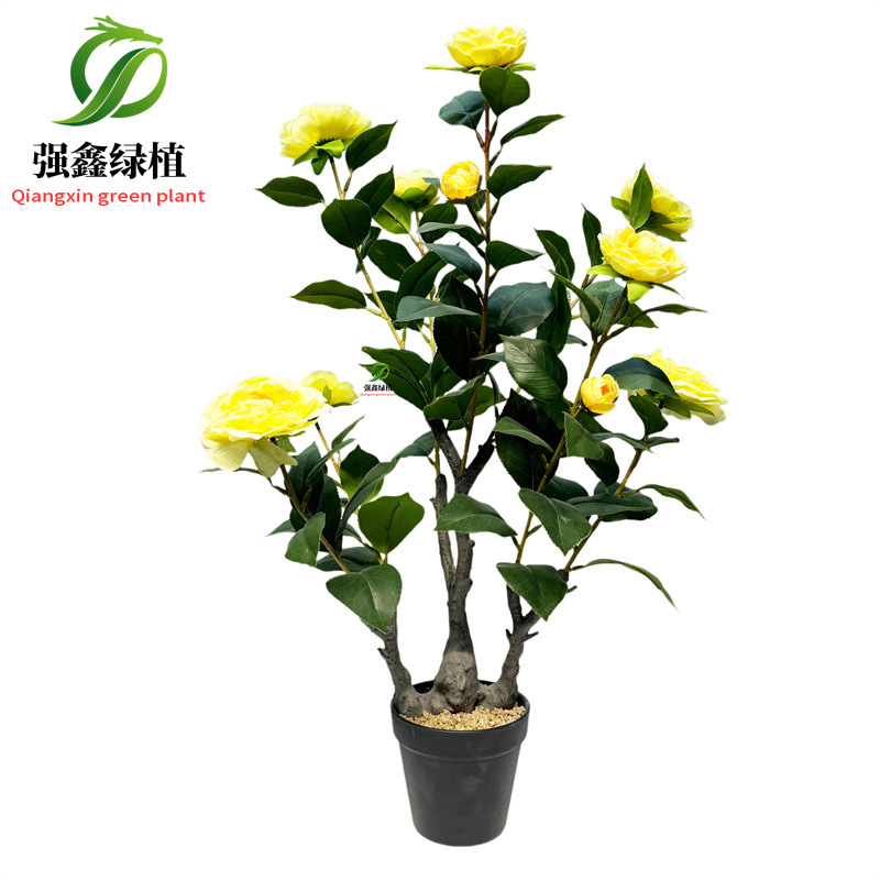 Planta de simulación de interior eucalipto árbol falso bonsai sala de estar decoración del suelo hoja de dinero falsa planta verde adorno en maceta image 18