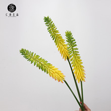 ���Sֱ�N ܛ�z�ָл���P��β�JȔ�� ���滨�Ꭷ��ˇ�҃��쾰�ٻ�