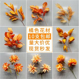 ��ɫ��c�����Ż���Y�õ�픻���·���廨ӆ�����b��T��ˇ