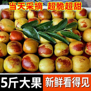 ���F؛���Fժ���𶬗����rˮ����t���ӑ�����������ɽ��5�����l