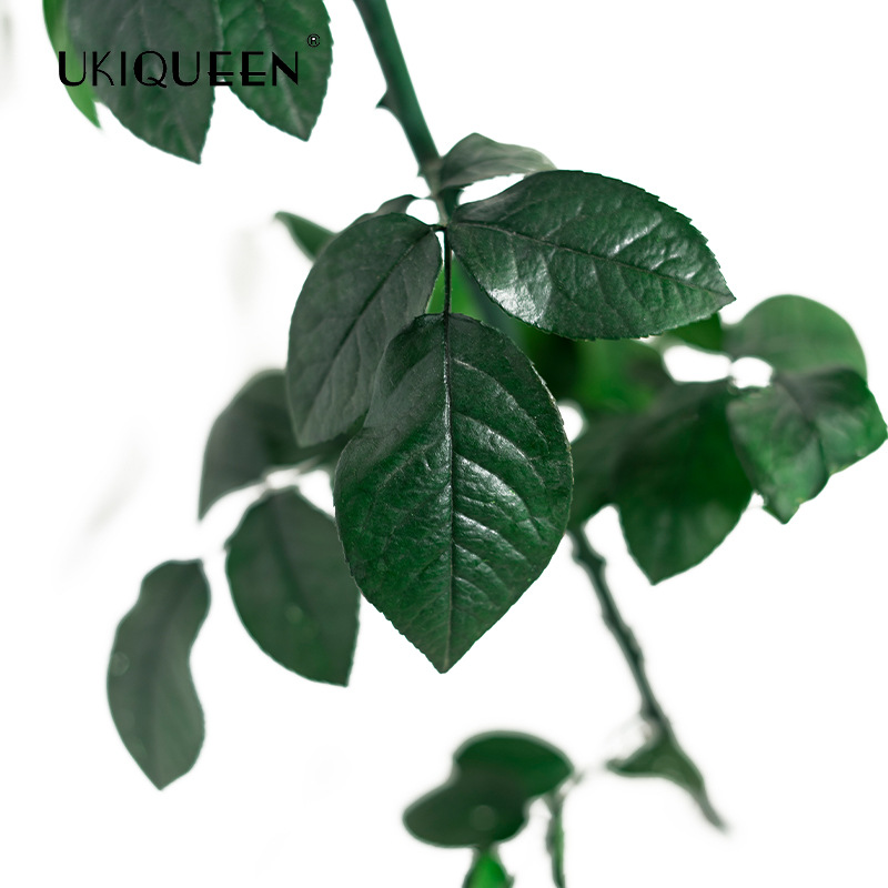 Fabricante mayorista de materiales de bricolaje para flores eternas, tallos y hojas de rosas eternas de Yunnan, adornos con cubierta de cristal del Principito.