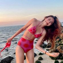 泳衣女甜美印花性感小胸高腰遮肚显瘦比基尼游泳衣女泳装swimsuit