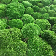 ������β޺̦޺ǽ���ڸɾ���װ��ǽ��̦�辰���쾰װ��������