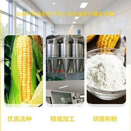 味精、鸡精;淀粉;烧烤调味料