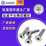 钛合金TA2薄头大平头梅花螺丝扁平低头CM梅花螺丝钉M2M3M4M5M6M8