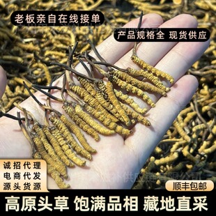 ���x�Ĳݸ�؛Դ�^�S������x�ݸ�؛���l�o����x��Դ�^�a�����l