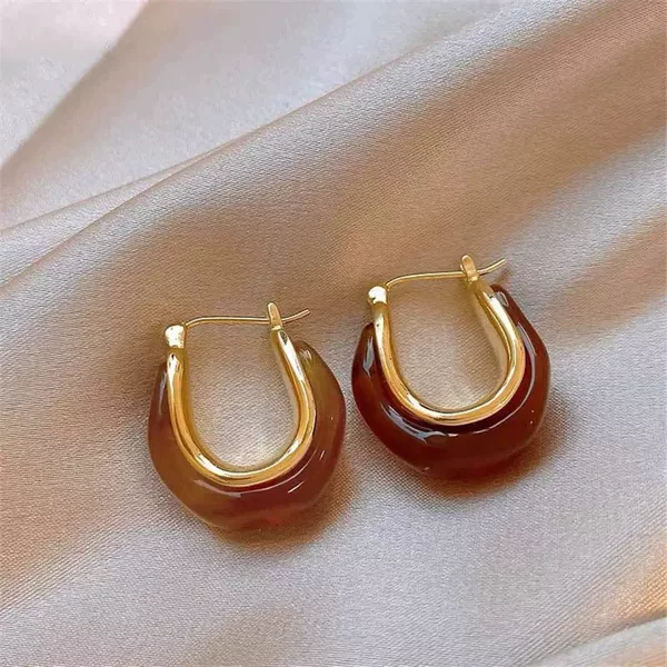 Maillard-Style Amber High-End Earrings for Women, French Vintage Style, New Niche Ear Clips, Versatile and Unique Ear Accessories