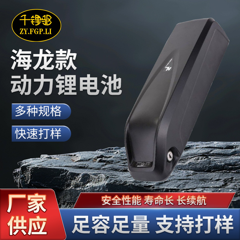 跨境厂家直供海龙鹦鹉动车24V36V48V改装山地折叠电动车锂电池