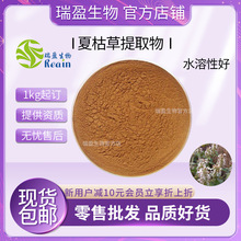 夏枯草提取物 / 夏枯草水提粉 药食同源 现货供应 1kg起订包邮