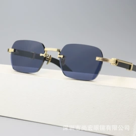 框架眼镜;太阳镜;眼镜片