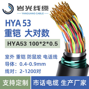 ����100�����z�󌦔� ��ˮ�����Z���Ԓ��  HYA53 100*2*0.5����