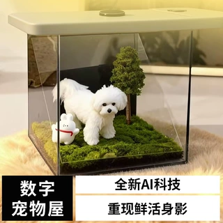 宠物全息投影数字屋宠物纪念品猫咪3d投影仪狗狗影像盒子小宠永生