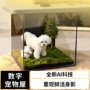 全息数字3d宠物投影