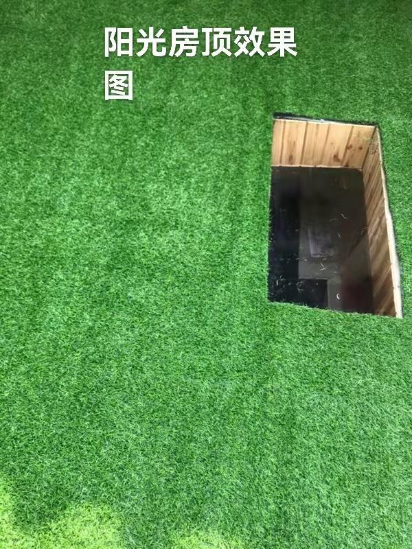 d3d98efd-c551-453b-a164-17d972868d8c.jpe