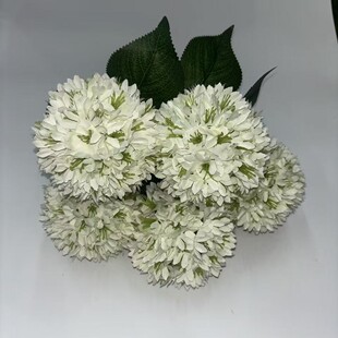5�^�q��ٻ����滨���ֹ�����c�û�������Y��c�b��Ų���