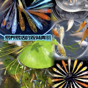 �^�����F��������ˮ��ˮ�^�p�~ԭ���~С����ˮ�ͻ�Ⱥ���~���挙��