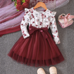 EW foreign trade children's clothing children's new girls spring and autumn flying sleeve long sleeve printed mesh dress Q1409-A