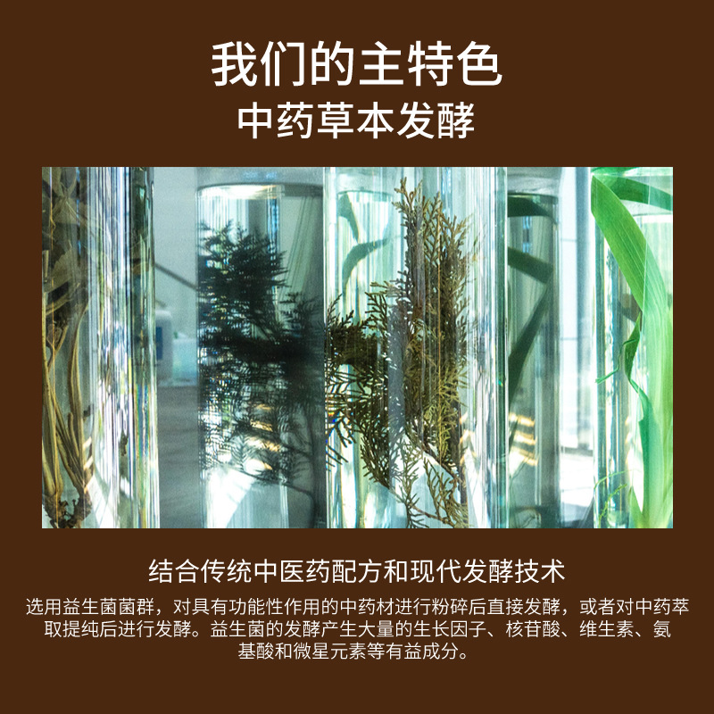 Aceite esencial marroquí personalizado para el cabello nutriente profundo refrescante no graso aceite de nuez inglés completo procesamiento de cuidado del cabello